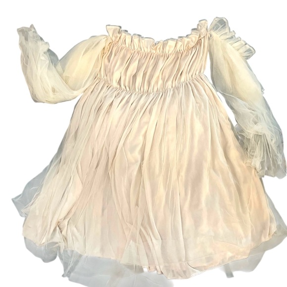 Romantic Ruffle Mini Dress - Picture 8 of 10